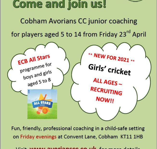 Avorians Cricket Coaching Y3 - 8