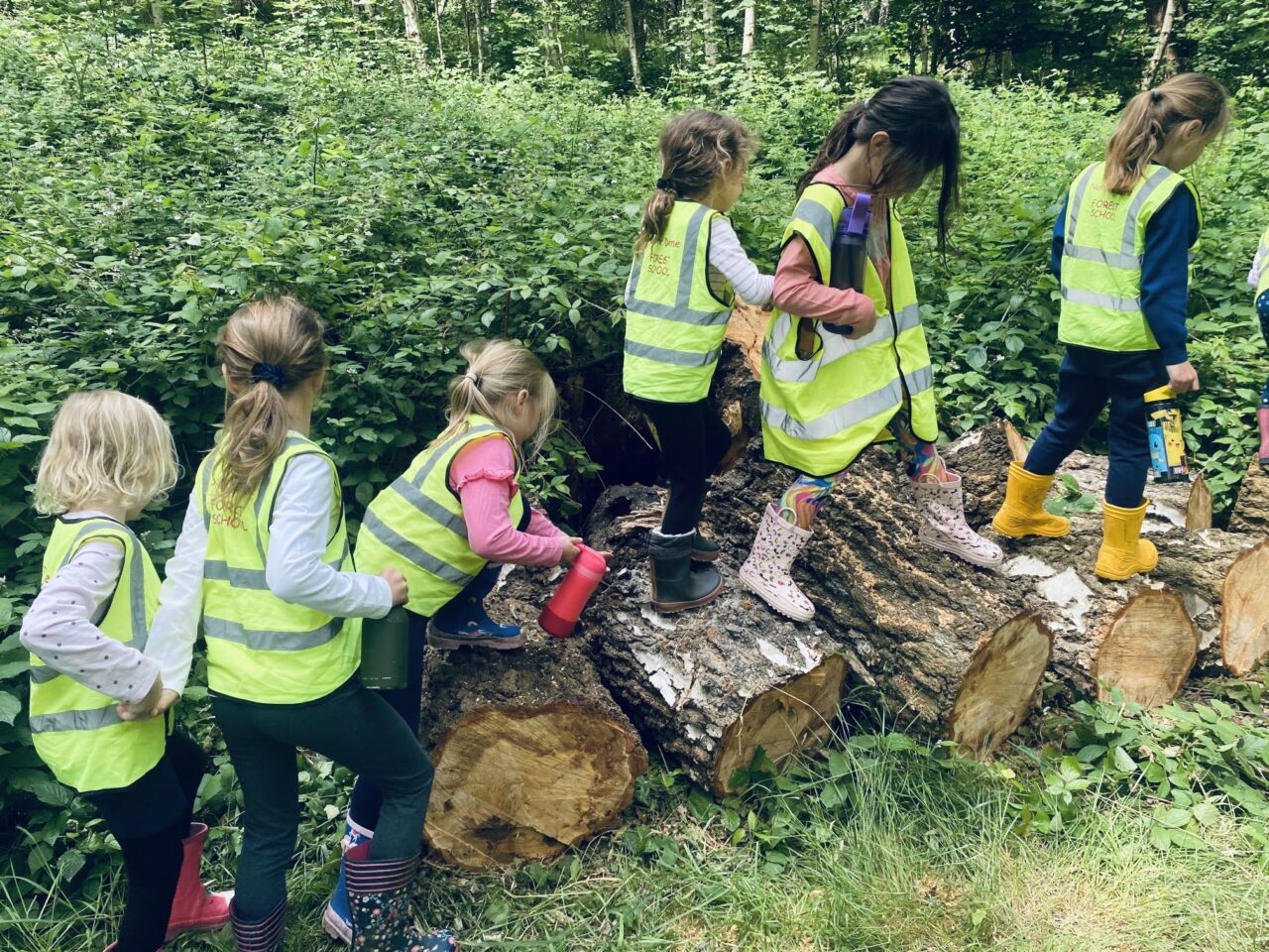 Year 1 Forest School June 7th