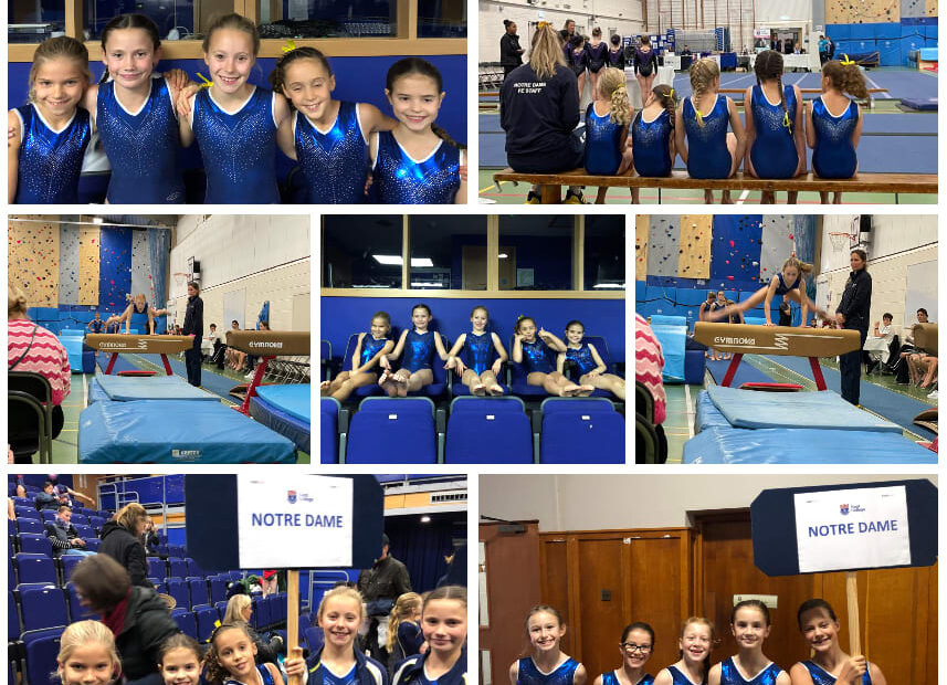 IAPS Gymnastics Championships