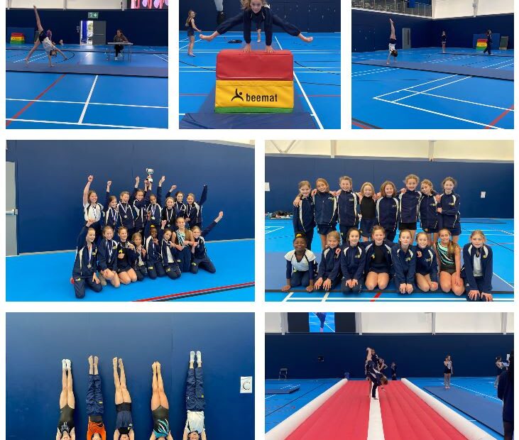 Prep Gymnastics Champions at Danes Hill competition