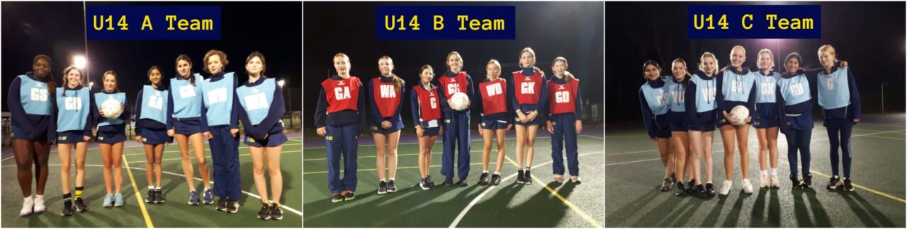 U14 A - C Netball Teams v Tormead