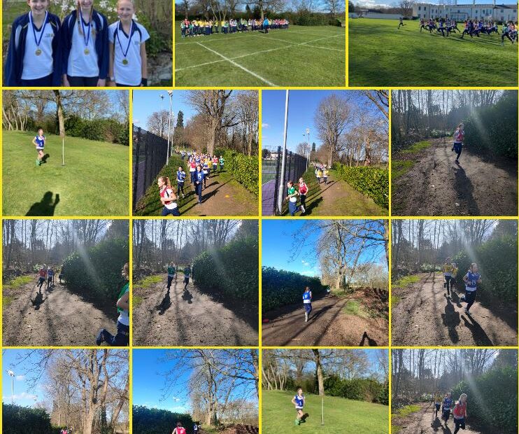 Year 7 Inter-House Cross Country